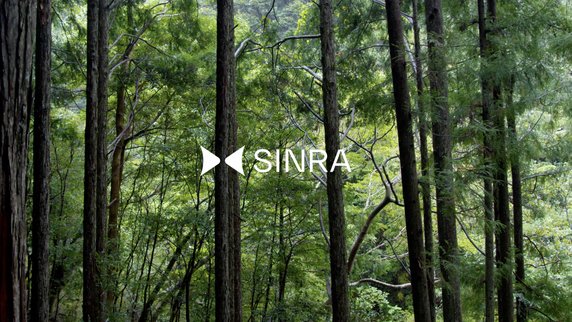 SINRA × 三重県尾鷲市